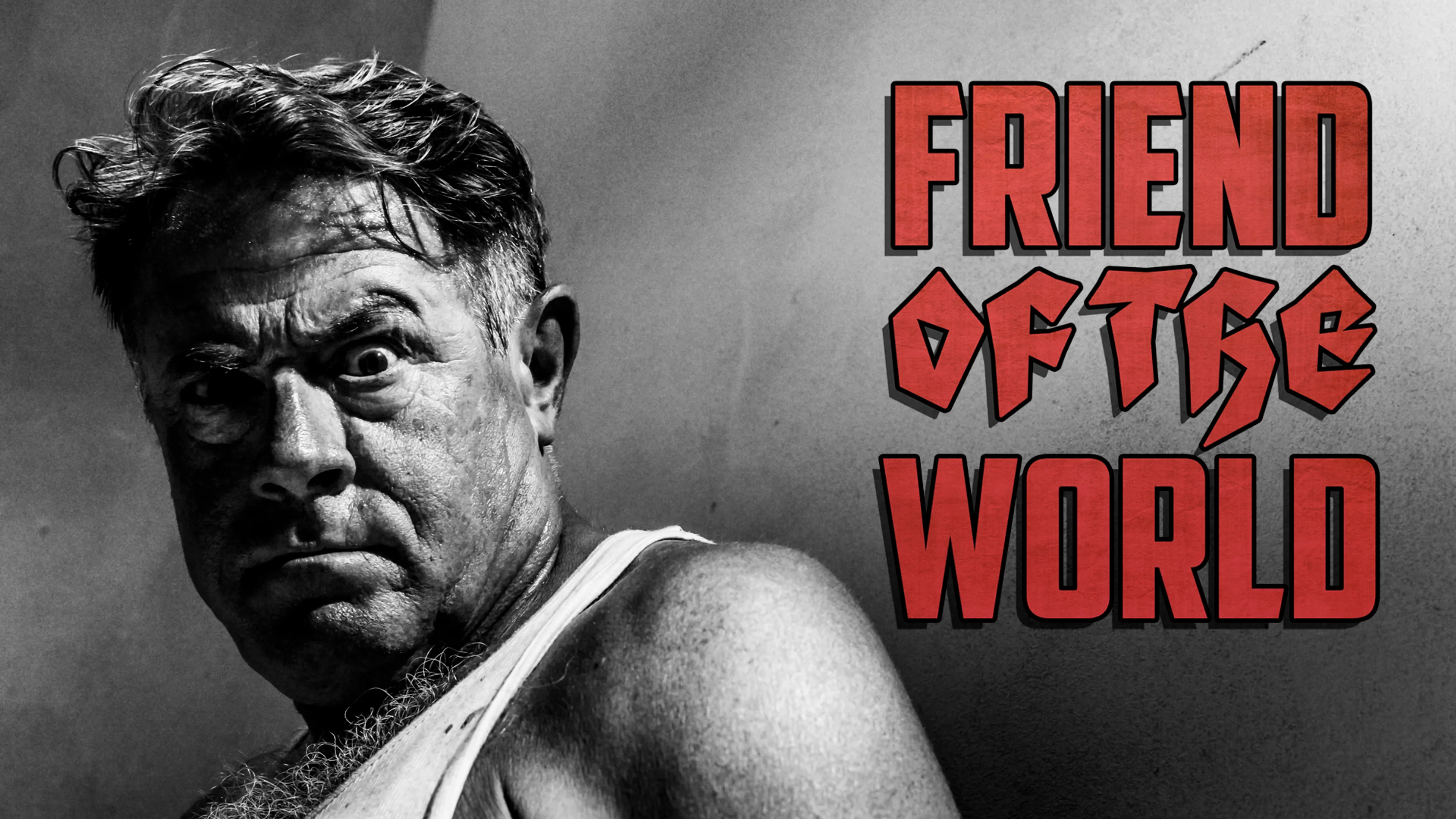 Friend of the World poster
